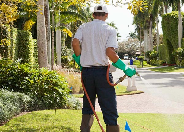 About Prospect Heights IL Pest Control